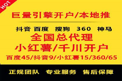百度推广效果案例解析